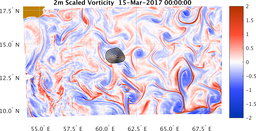 bigDomain_vorticity.png