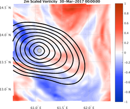 smallDomain_vorticity.png