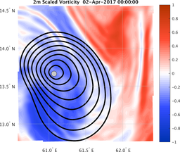 smallDomain_vorticity.png