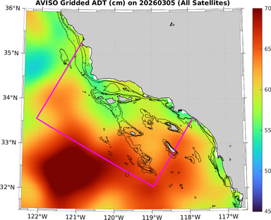 ADT_20260305_zoom.png