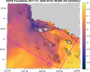 SST_20260301T0000Z_zoom.png