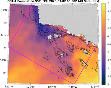 SST_20260302T0000Z_zoom.png