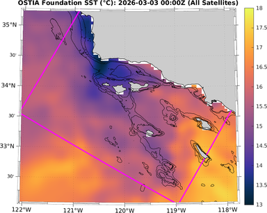 SST_20260303T0000Z_zoom.png