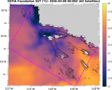 SST_20260308T0000Z_zoom.png
