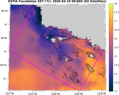 SST_20260310T0000Z_zoom.png