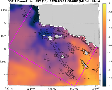 SST_20260311T0000Z_zoom.png