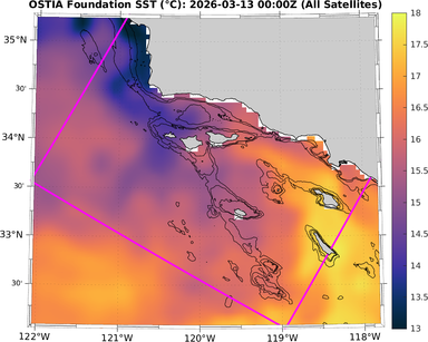 SST_20260313T0000Z_zoom.png