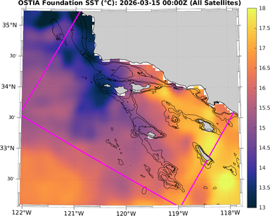 SST_20260315T0000Z_zoom.png